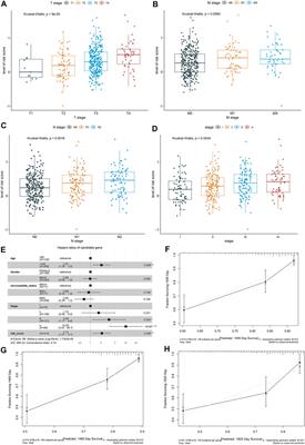 Exploring Immune-Related Prognostic Signatures in the Tumor Microenvironment of Colon Cancer